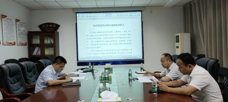 参加海南省自贸办关于供应链汇报会议